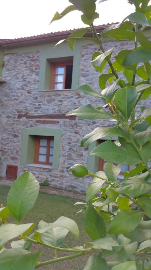 Casa Rural La Pumarada De Limes Cangas De Narcea Ngoại thất bức ảnh